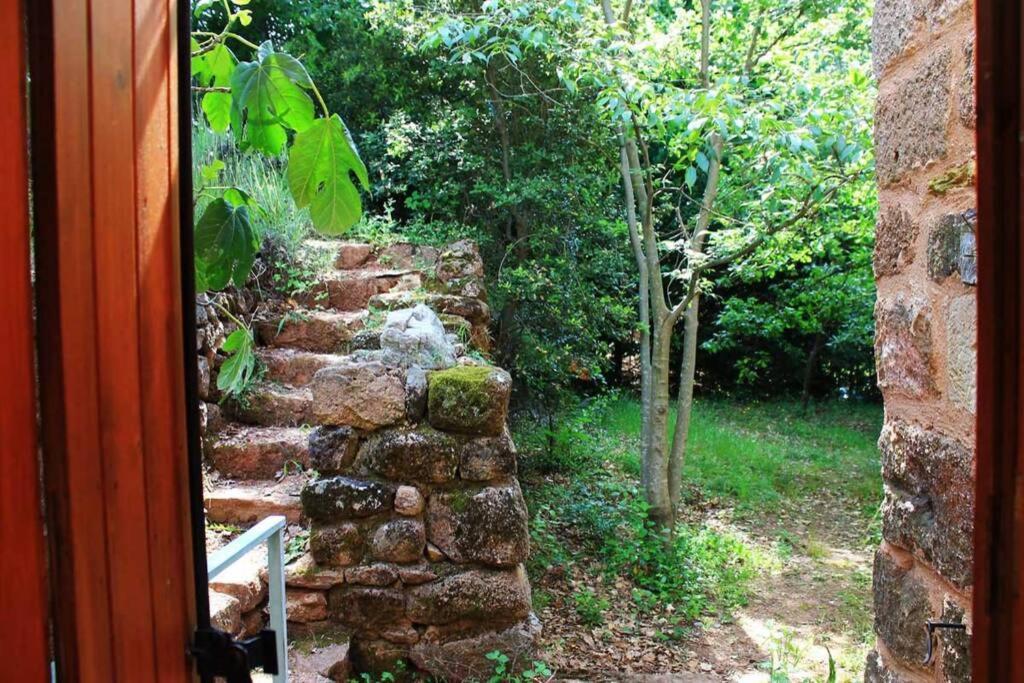 Belle Et Grande Maison Ardechoise Payzac  Luaran gambar